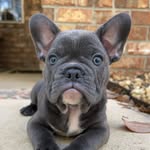 Charlie - @charlesalexanderstanek - Instagram