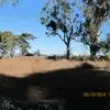 Charles Starling - @charles.starling3 - TikTok