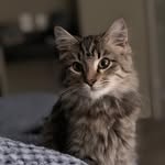 Charles Stephenson - @misterrcharles - Instagram