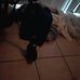 Charles Stockham - Facebook