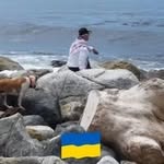 Charles Stout - @charlesstout40 - Instagram