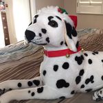 Charles Strange - @strange1948 - Instagram