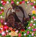 Charles Strange - Facebook