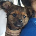 Sir Winston Charles Strange - @winstoncharlesstrange - Instagram