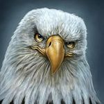 Charles Sturgeon - @charles.sturgeon.587 - Instagram