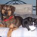 Charles Sturtevant - Facebook