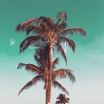 Charles Swanson - @chalks_photography - Instagram