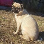 Charles Swanson - @chuckswanson99 - Instagram