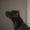 charlestalley35 - @charlestalley35 - TikTok
