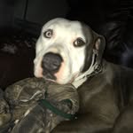 Charles Talmage - @charles_talmage16 - Instagram