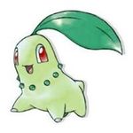 Charles Tao - @chikorita989 - Instagram