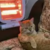 charlesteamo - @charlesteamooo - TikTok