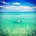 Charlie Termini - Facebook