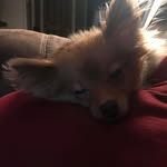 Charles Tidwell - @charles.tidwell.98 - Instagram