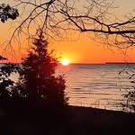 Charles Till - @tundratiger1 - Instagram