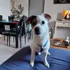 charlestine - @charlestine72 - TikTok