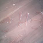 charles toh - @toh_charles - Instagram