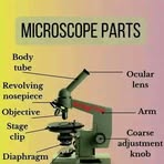 Tuozie Charles - Facebook