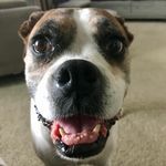 Charles Trapp - @wh0s_j0e_j0e_mama - Instagram