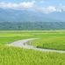 Charles Tse - Facebook