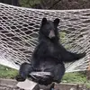 charlesupton - @charlesupton - TikTok
