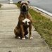 Charles Utley - Facebook