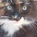 Charles Utley - Facebook