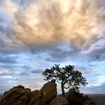charles vang - @_annoymous_charles - Instagram