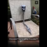 Charles Vanover - @charliefun11 - Instagram