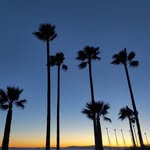 @charlesverdone - Instagram