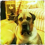Charles Vermette - @cvermette - Instagram