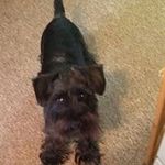 Charles Vickers - @charles_vickers - Instagram