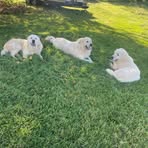 Charles Vickers - Facebook
