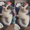 charlesvickers87 - @charlesvickers87 - TikTok