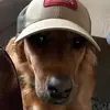Balls - @charles.villa - TikTok