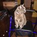 Ray Vos - Facebook