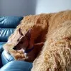 Charles Warwick - @charles.warwick - TikTok