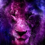 Charles Weeks - @charlesweeks6 - Instagram