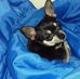 Charles Weigel - Facebook