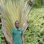 Charles owino wesonga - @wesongacharlesowino - Instagram