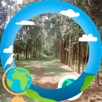Charles Wesonga - Facebook
