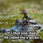 Charles Whitmore - @charles1258 - Instagram