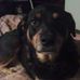 Charles Wilcher - Facebook