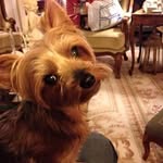 Charles Wilt - @charles.wilt.3 - Instagram