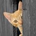 Charlie Winebarger - Facebook