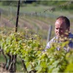 Charles Baker Wines - @cbriesling - Instagram