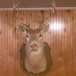 Charles Woolard - @louis_6985 - Instagram