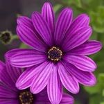 John Charles Woolard - @woodlard2470 - Instagram