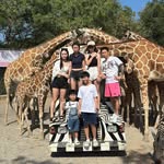 Charles Yee - @charlesyee1984 - Instagram
