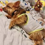 Charles Yeo - @charles.yeo.906 - Instagram